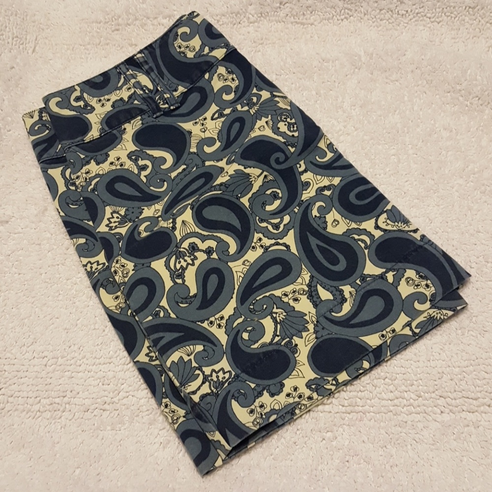 NWOT Gap White and Blue Paisley skirt